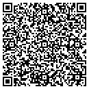 QR code with Pype Arctic Jv contacts