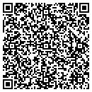 QR code with Premier Motor Group contacts
