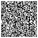 QR code with Olson Placer contacts