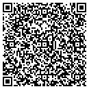 QR code with Public Meetings USA contacts