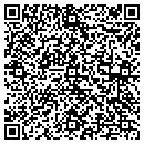 QR code with Premier Woodworking contacts