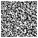 QR code with Project Platinum Inc contacts