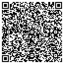 QR code with Professional Testing contacts