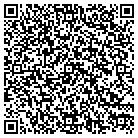 QR code with Borealis Painting contacts