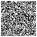 QR code with Barry A Ginsberg pa contacts