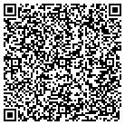 QR code with Pueblo Environmental Group contacts