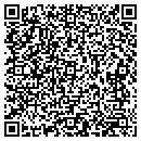 QR code with Prism Games Inc contacts