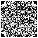 QR code with Pro Process contacts