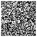 QR code with Premier Accessories contacts