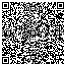 QR code with Ps Auler Inc contacts