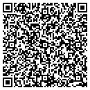QR code with Pro Horizons contacts