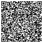 QR code with Professional Ironworks contacts