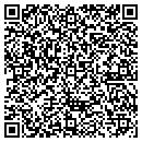 QR code with Prism Consultants Inc contacts
