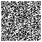 QR code with Amerifinancial LLC contacts