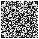 QR code with C D M & S Inc contacts