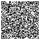 QR code with Caribbean Connection contacts