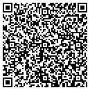 QR code with Blue Chair Antiques contacts