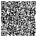 QR code with Fmg Inc contacts