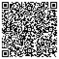 QR code with Amscot contacts