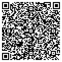 QR code with Lwg Consulting Inc contacts