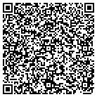 QR code with Pulaski North Community H contacts