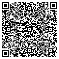 QR code with Oilily contacts