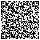 QR code with Premier Partners LLC contacts