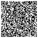 QR code with Borealis Technologies contacts