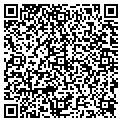 QR code with Cepad contacts