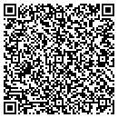 QR code with Pyramid Title Florida contacts
