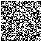 QR code with Bfc Financial Corp contacts