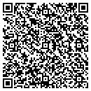 QR code with City Of Pilot Station contacts