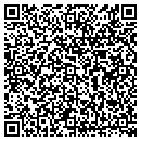 QR code with Punch List Pros Inc contacts