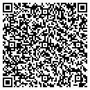 QR code with Protogenic Inc contacts