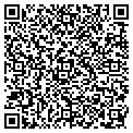 QR code with Y Mart contacts