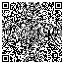 QR code with Cgyo Investments LLC contacts