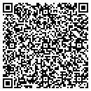 QR code with Collier Jan Ma Lmhc contacts