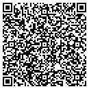 QR code with City Of Dillingham contacts