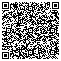 QR code with Safv contacts
