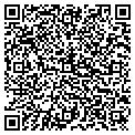 QR code with Golden contacts