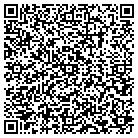 QR code with Pulaski County Payroll contacts