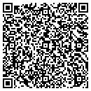 QR code with Pyramid Photographics contacts