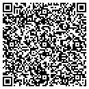 QR code with Borealis Property Service contacts