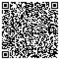 QR code with P L M contacts