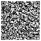 QR code with Brian K Johnston Cpa Pa contacts