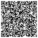 QR code with Carter Electric CO contacts