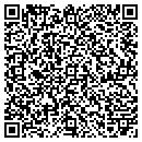 QR code with Capital District Dso contacts