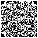 QR code with Puffin Electric contacts