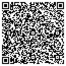 QR code with Public Magazines LLC contacts