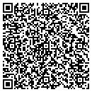 QR code with Cybergnostic Net Inc contacts